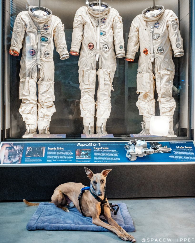 Apollo 1 - spacewhippet
