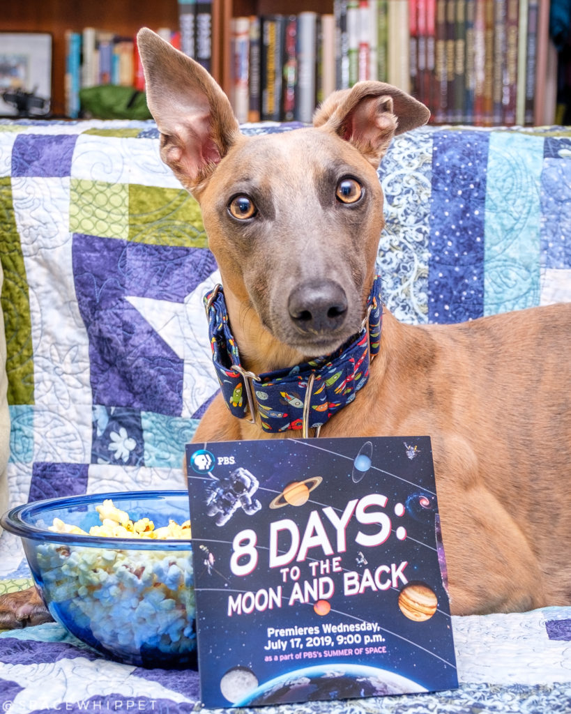 8 days to the moon and back spacewhippet