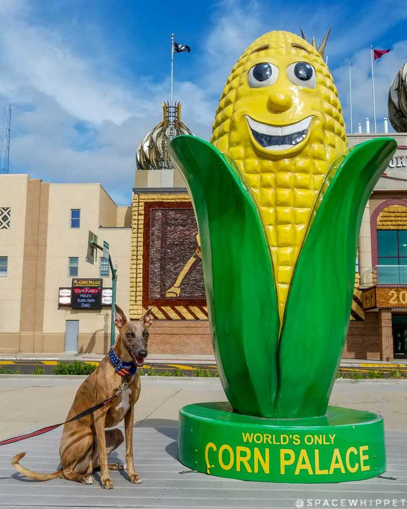 World's Only Corn Palace spacewhippet